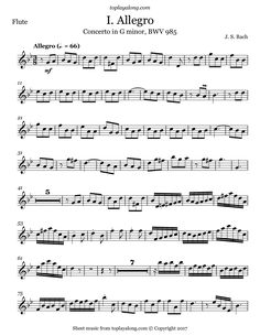 sheet music for violin and piano with the words i allegro written on it