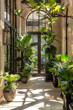 A Pinterest pin featuring a variety of indoor plants perfect for courtyards, showcasing lush greenery to create a vibrant and enclosed atmosphere. Urban Jungle Interior, Plant Walls, Townhouse Interior, Air Purifying House Plants, Plant House, Home Air Purifier, Plants Indoor, Indoor Jungle, Air Purifying