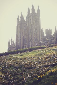 a very tall building sitting on the side of a lush green hillside covered in flowers