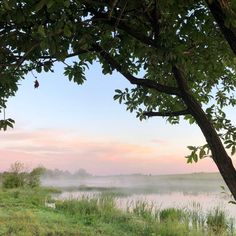 the sun is setting behind some trees by the water's edge with mist in the air