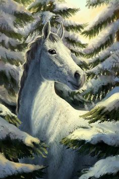 a painting of a white horse in the snow with pine trees behind it and sun shining on its face