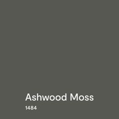 A swatch of BM Ashwood Moss paint Bm Ashwood Moss, Ashwood Moss Benjamin Moore Exterior, Ash Wood Moss Benjamin Moore, Stonecutter Benjamin Moore, Bm Ashwood, Ashwood Moss Benjamin Moore, Benjamin Moore Ashwood Moss, Ashwood Moss, Cinnamon Slate