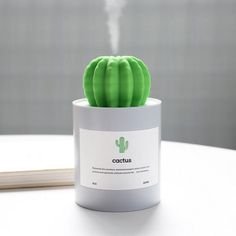 a green cactus in a white container on a table