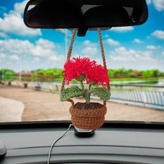 a small potted plant hanging from the side of a car window with red flowers in it