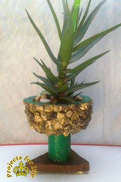 a potted plant sitting on top of a wooden stand