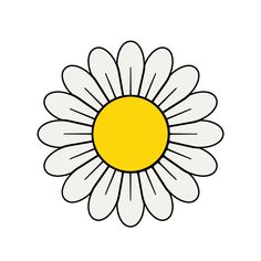 a white daisy with yellow center on a white background