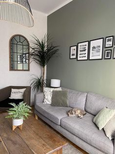 a living room filled with furniture and a wooden coffee table in front of a gray wall