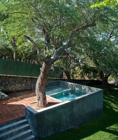 a tree that is in the middle of a pool with steps leading up to it