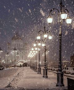 a snowy night in the city with street lamps and lights on poles covered by snow