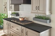 a stove top oven sitting inside of a kitchen next to a planter filled with potted plants