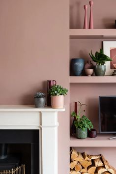 a living room with pink walls and shelves filled with potted plants next to a fire place