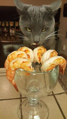 a cat is looking at some food in a bowl