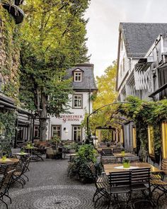 an empty street with tables and chairs in the middle, surrounded by greenery on both sides