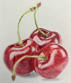 a drawing of three cherries on white paper