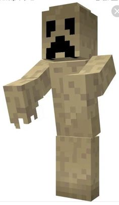 an image of a minecraft character that appears to be holding something in his hand