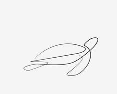 a line drawing of a turtle on a white background