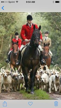 a group of men riding on the backs of brown horses next to white and black dogs