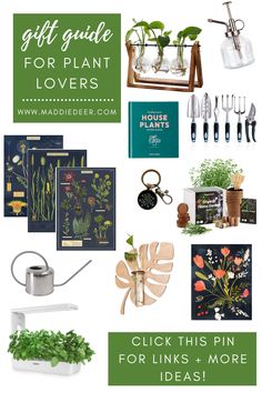 the gift guide for plant lover's includes plants, seeding tools and more