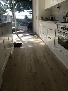 a kitchen with white cabinets and wood floors is seen in this image from the doorway