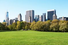 a city skyline is seen in the distance from a grassy field with trees and benches