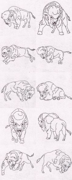 some animals that are in different positions and sizes, all drawn by hand on paper