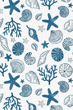 blue sea shells and starfishs on white paper with watercolor paint effect in the background