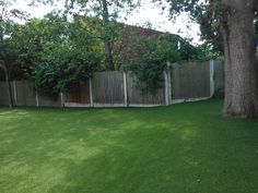 a fenced in backyard with green grass and trees on both sides, next to a large tree