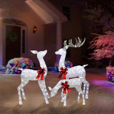 two lighted reindeers standing in front of a house with red bows on their antlers