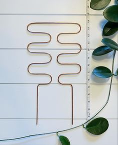 three metal hooks are placed next to a plant and ruler on a white background with green leaves