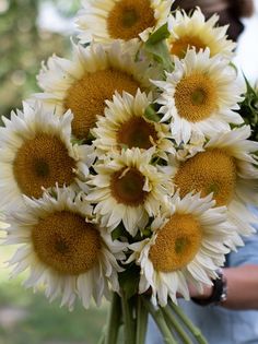 a woman holding a bouquet of sunflowers in her hands