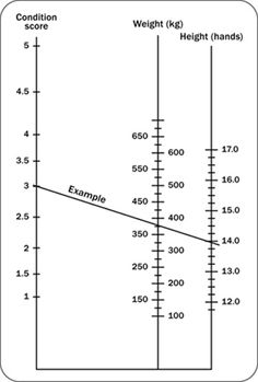 a line graph showing the weight and height of an individual's body, as well as