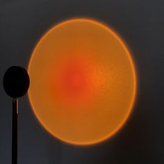 a round object with a black pole in the middle and an orange circle around it