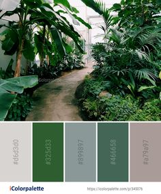 the interior of a greenhouse with lots of green plants and greenery in color palette