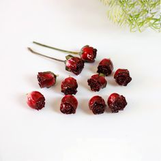 some red flowers are on a white surface