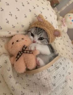 a cat is laying in bed with a teddy bear on it's back and wearing a hat