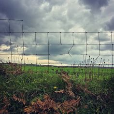 a barbed wire fence with grass and weeds in the foreground under a cloudy sky