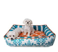 two small white dogs sitting in an orange and blue dog bed with damask print