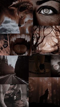 a collage of photos with wolfs and trees in the background