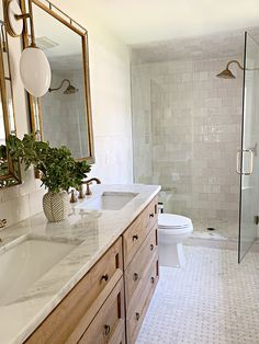 a bathroom with two sinks, a toilet and a shower