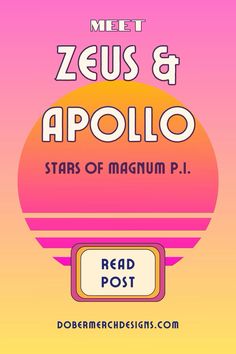 the cover for meet zeius and apolo stars of magnaium p i read post