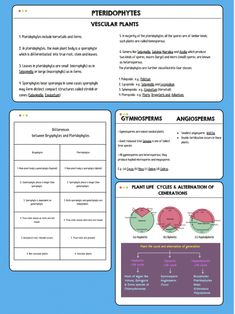 the plant life cycle worksheet is shown in this graphic diagram, which shows how plants