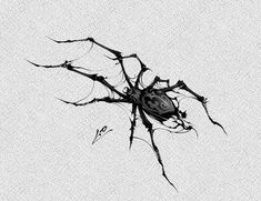 a black and white photo of a spider