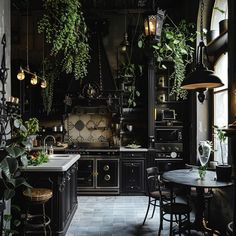 a kitchen filled with lots of plants next to a stove top oven