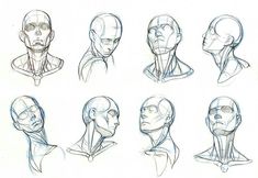 a bunch of sketches of head and neck in various positions, with one man's face to the side