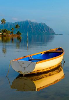 a small boat floating on top of a lake next to a shore covered in palm trees