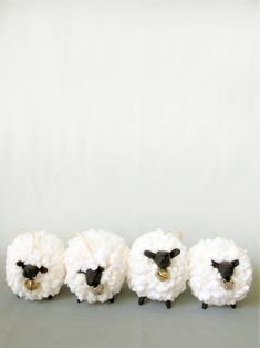 four sheep are lined up in a row on the floor and one is black with a white face