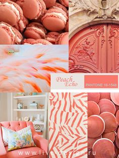 an orange and pink color scheme for interior design with pictures of furniture, pillows, and decor items