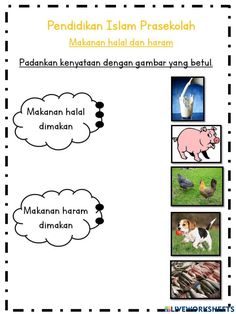 the worksheet for an english language lesson with pictures of animals, birds and fish