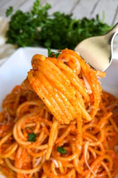 a fork full of spaghetti with parsley on the side, in a white bowl