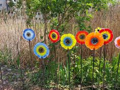 colorful flowers are in the middle of tall grass and plants with long stems sticking out of them